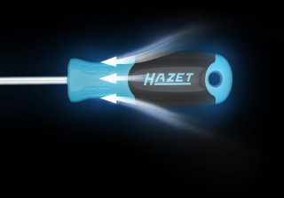 HAZET Schraubendreher 811T/6 ∙ Innen TORX® Profil ∙ 6-teilig ∙ T10 ∙ T15 ∙ T20 ∙ T25 ∙ T27 ∙ T30 Bild 3