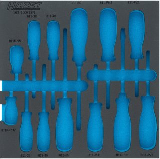 HAZET 2-Komponenten Weichschaumeinlage 163-100LN ∙ L x B: 344 mm x 342 mm Bild 1