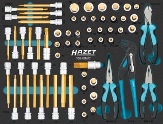 HAZET Schraubendreher-Steckschlüsseleinsatz Satz 163-609/61 ∙ 61-teilig ∙ 4 – 22 ∙ M5 – M18 ∙ T20 – T60
