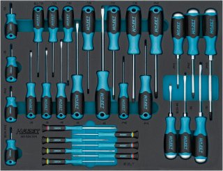 HAZET Schraubendreher Satz 163-524/31N ∙ Schlitz Profil | Kreuzschlitz Profil PH | Innen TORX® Profil ∙ 31-teilig ∙ 0,3 x 1,5 – 1,