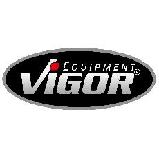 Logo VIGOR